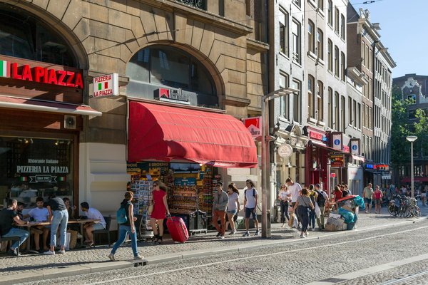 Idées innovantes pour une nuit époustouflante de documentaires sur la nature
